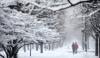 US weather: Nearly 800,000 homes lose power as massive winter storm hits country