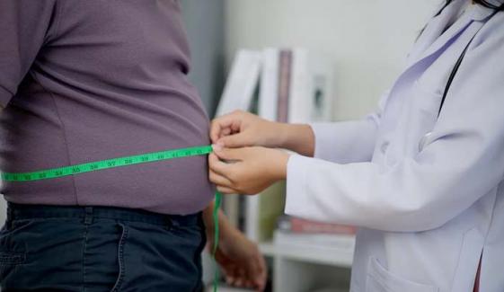 Obesity majorly contributes to increased dementia risk, study