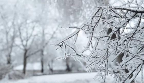 Freezing warning issued across Central Florida as temperatures drop sharply