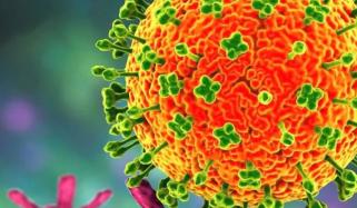 Nipah virus outbreak: Here's everything to know about deadly virus