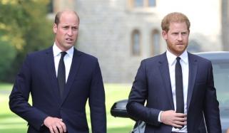 Kensington Palace drops major update on Prince William after Harry’s new strategy