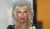 Queen Camilla missing from key record in major royal oversight