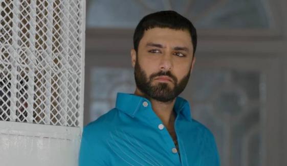 Ahmed Ali Akbar shares 'Sanwal Yaar Piya' chips in hilarious post