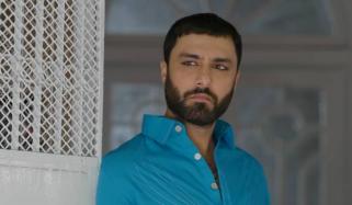 Ahmed Ali Akbar shares 'Sanwal Yaar Piya' chips in hilarious post