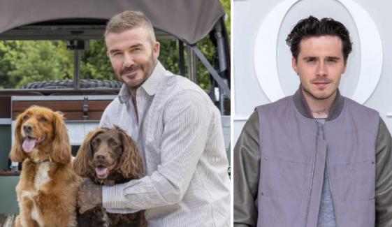 Brooklyn Beckham gets compared to David’s dogs after his explosive claims