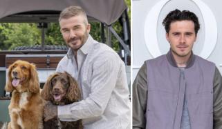 Brooklyn Beckham gets compared to David’s dogs after his explosive claims