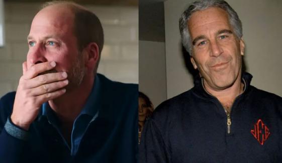 Prince William rep issues first statement on Earthshot’s rare ink with Epstein