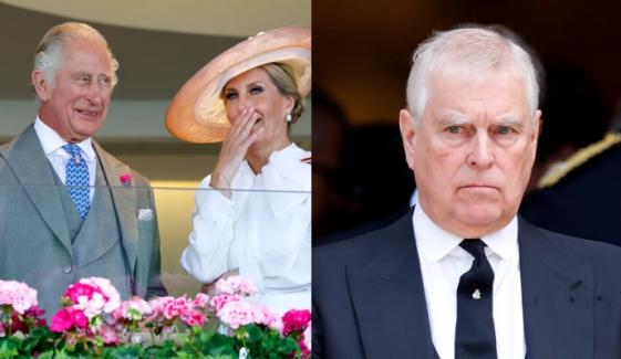 Duchess Sophie brings much-needed joy to King Charles with Hampshire visit 