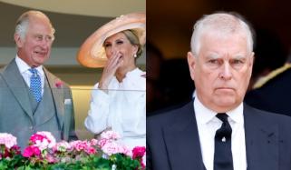 Duchess Sophie brings much-needed joy to King Charles with Hampshire visit 