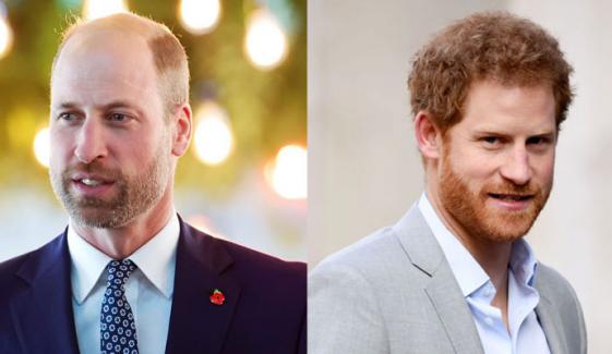 Prince William heartbroken over Prince Harry's bold move: 'lost my brother'