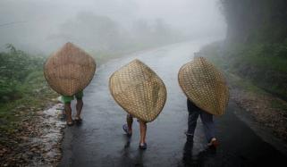 Discover world's wettest town where it rains almost all year