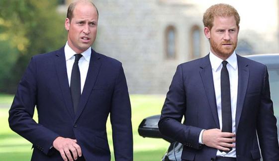Prince William needs Harry support to save reign: 'running out of allies'