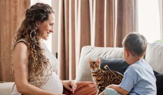 How pregnancy brings brain-related changes?