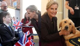 Buckingham Palace issues update on Duchess Sophie's big achievement in Ireland 