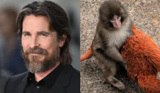 Christian Bale makes surprising comment about viral baby monkey Punch 