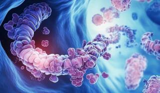 Colorectal cancer increasing sharply among youngster, study