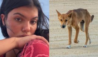 Canadian teen drowned after dingo attack in Australia