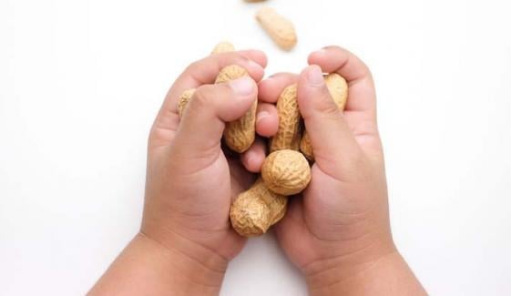 Toddlers face increased peanut allergy risk if older siblings eat peanuts, study