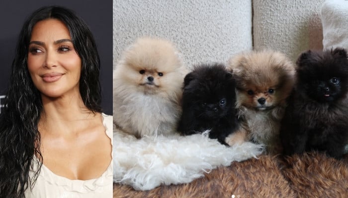 キム・カーダシアン、PETAの批判にもかかわらずクリスマスの子犬を披露