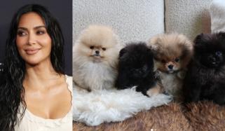 Kim Kardashian shows-off Christmas puppies despite PETA criticism