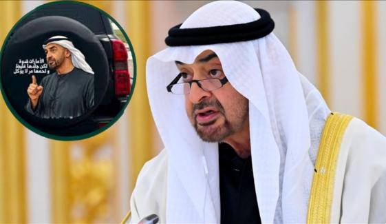 Sheikh Mohamed bin Zayed: 'UAE has thick skin and bitter flesh' becomes national symbol