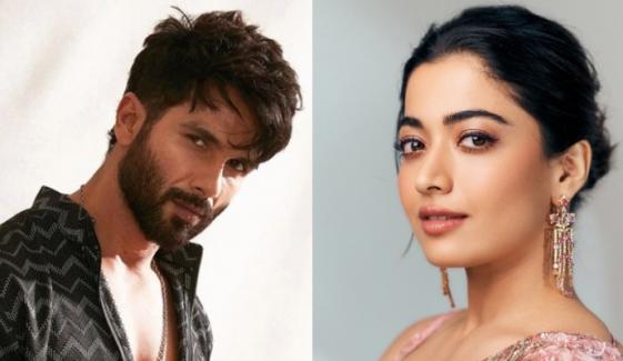 Shahid Kapoor reunites with Rashmika Mandanna for new romantic comedy film?