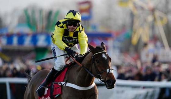 Nicky Henderson’s star hurdler Sir Gino dies: Cause of death revealed