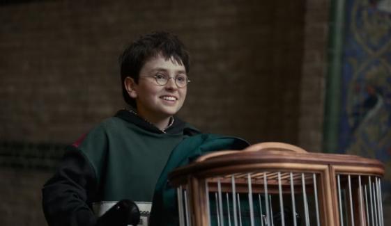 ‘Harry Potter’ series trailer sparks online debate among loyal fans: 'feel zero magic'