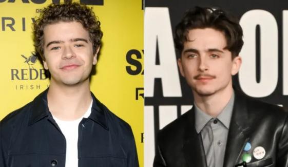 Gaten Matarazzo takes playful jab at Timothée Chalamet with viral parody