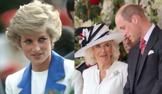 Charles shares Princess Diana's sweet memory amid Prince William, Queen Camilla 'rift'