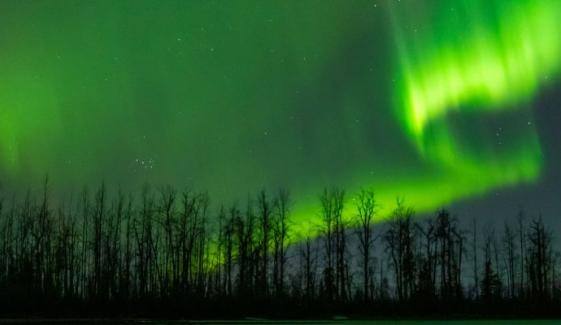 How to see the Northern Lights: Best times and states for tonight’s display