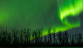 How to see the Northern Lights: Best times and states for tonight’s display