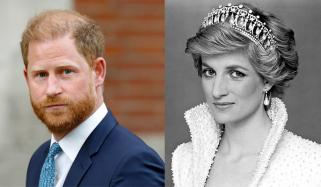 Prince Harry once again brings Princess Diana's death in painful reflection on Royal role