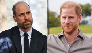 Prince William's quiet approach to his strained bond with Prince Harry explained 