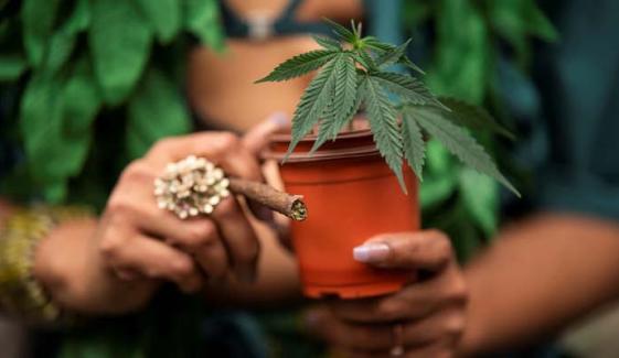 US moves to reclassify Marijuana as less dangerous in major policy shift 