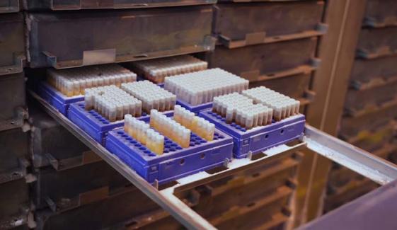 UK Biobank data of 500,000 people listed for sale on Chinese site 