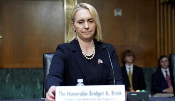 US-Ukraine diplomacy hit by sudden resignation of key ambassador