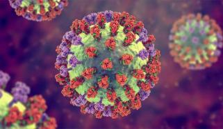 ‘Significant’ Poliovirus identified in one Western Australian wastewater