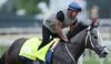 Kentucky Derby 2026: Post time, odds, and full field for the 152nd Run for the Roses