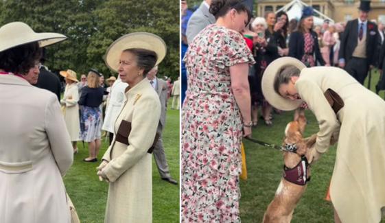 Princess Anne's special moment lights up Buckingham Palace Garden Party