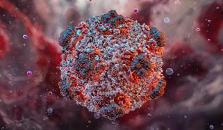 How dangerous is Hantavirus? Everything to know about it