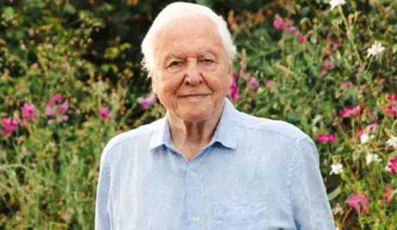 Sir David Attenborough turns 100: A glimpse into legendary naturalist’s life 