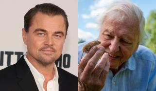 Leonardo DiCaprio reflects on David Attenborough's legacy as storyteller turns 100