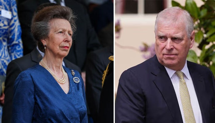 Princess Anne makes first official statement after Andrew 'attacker' pleaded not guilty