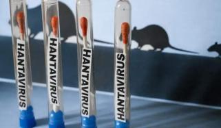 Hantavirus surge linked to climate change, experts warn after spike in cases
