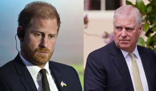 'Horrified' Prince Harry strongly reacts on Andrew attack: 'nobody is truly protected'