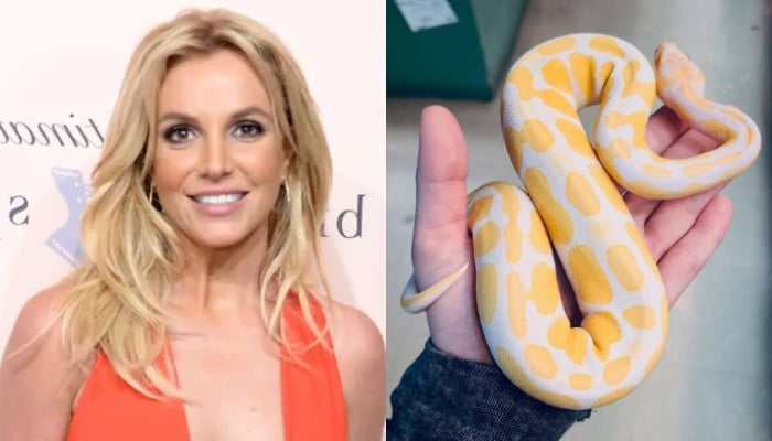 Britney Spears issues first statement amid dramatic DUI plea deal: 'Be kind'