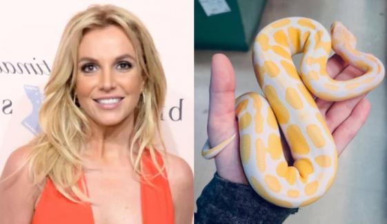 Britney Spears issues first statement amid dramatic DUI plea deal: 'Be kind'
