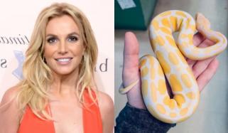 Britney Spears issues first statement amid dramatic DUI plea deal: 'Be kind'