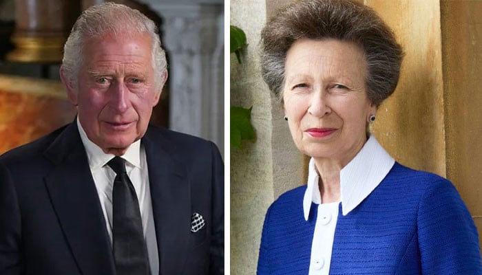Princess Anne's new portrait receives King Charles' nod days before public display